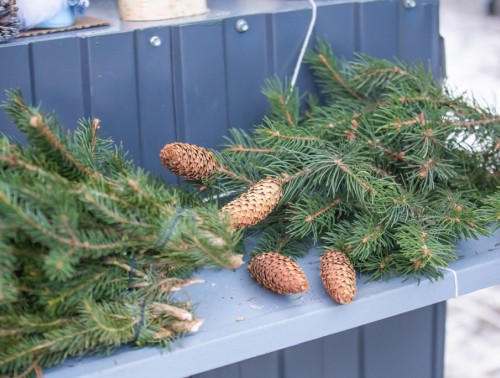 УЖЕ ПОРА? КАК УТИЛИЗИРОВАТЬ НОВОГОДНЮЮ ЕЛКУ  