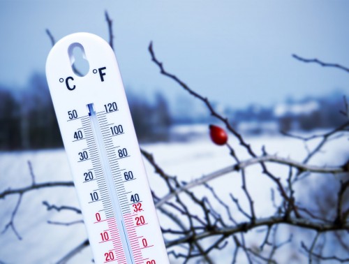 Горячая линия по температурному режиму на рабочих местах