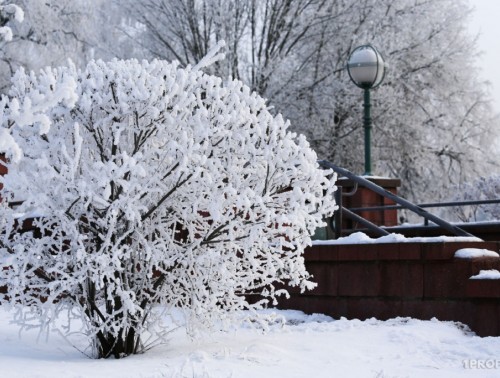 ОДЕВАЕМСЯ ТЕПЛЕЕ! МОРОЗЫ НА НЕДЕЛЕ С 19 ПО 25 ЯНВАРЯ УСИЛЯТСЯ  
