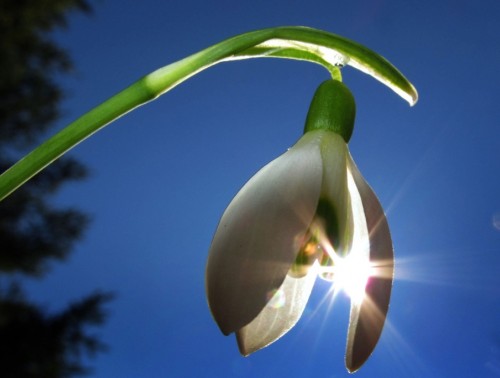 Весеннее равноденствие в Беларуси в 2026 году наступит 20 марта в 17:45:14 