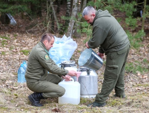 Лесхозы Беларуси начинают продажу березового сока. Сколько просят за литр природного напитка? 