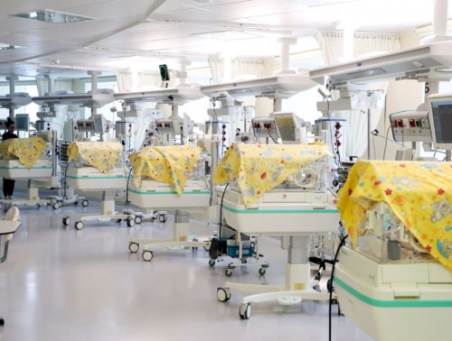 Теперь белорускам доступны две бесплатные попытки ЭКО 