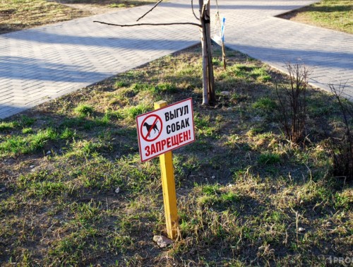 Хорошая новость для владельцев собак из Гродно: в городе оборудуют четыре зоны для выгула 