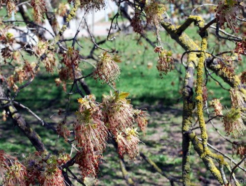Потеплеет до +20°С, но зонты пригодятся! Рассказываем о погоде на неделе с 13 по 19 апреля 