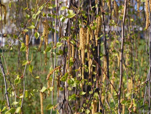 Погода на большие апрельские выходные: где будет тепло, а где ждать дождей на Радуницу 