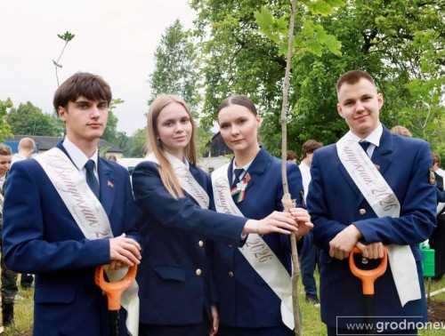 Выпускники гродненских школ и гимназий высадили кленовую аллею в городском парке на Фолюше