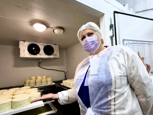 Гродненские медики открыли для себя секреты крафтового сыроделия