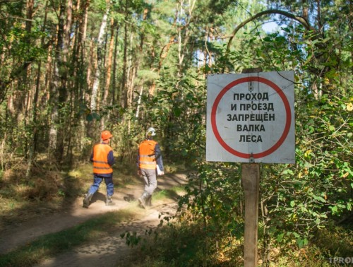 Восстановить стаж и отменить неправомерный отказ в назначении пенсии помог профсоюз 